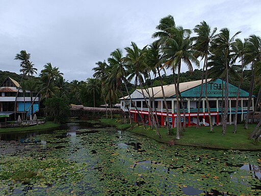 4 Spectacular Fiji Islands 7 2019-01-30 Pacific Harbour, Viti Levu, Fiji 1