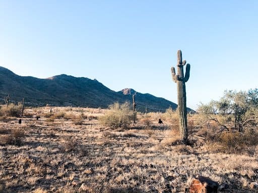 Phoenix, Arizona Travel Guide 16 7 Thing to do in Phoenix