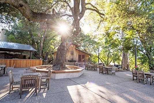 9 Best Kid-Friendly Wineries in Sonoma 9 Benziger Family Winery