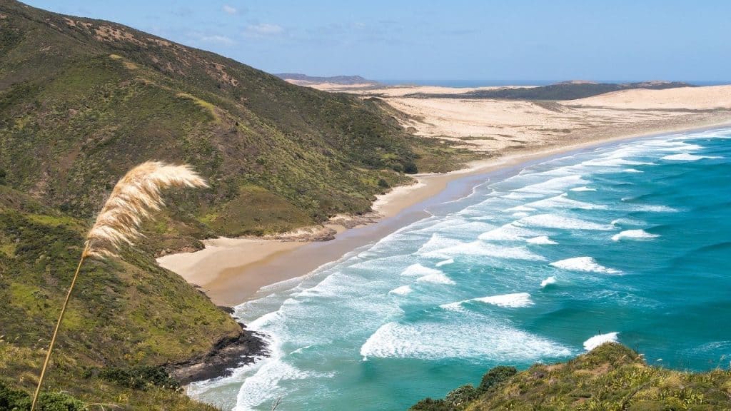 Cape Reinga