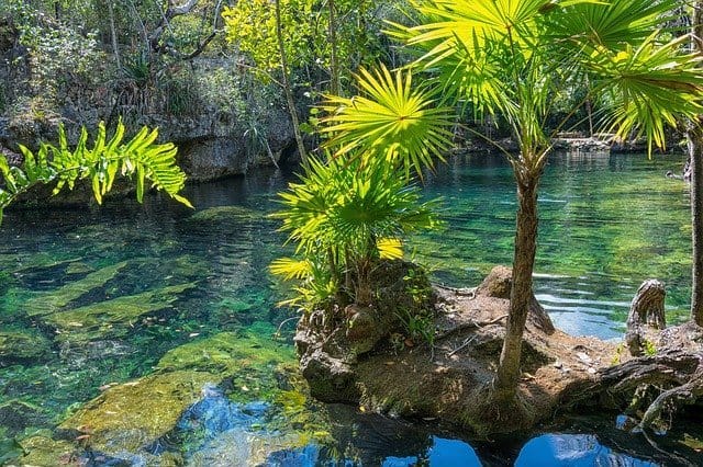 Top 31 Cenotes Near Cancun 2 Cenotes in Mexico