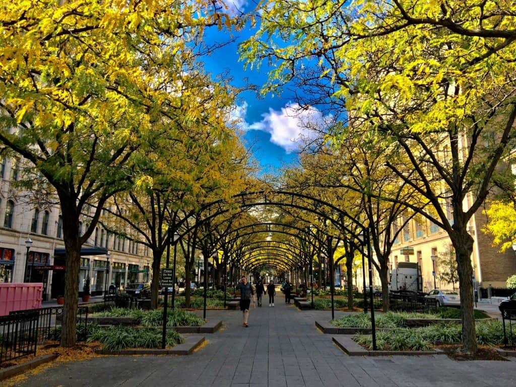 Experience an Epic Cincinnati Getaway 19 Cincinnati, Ohio