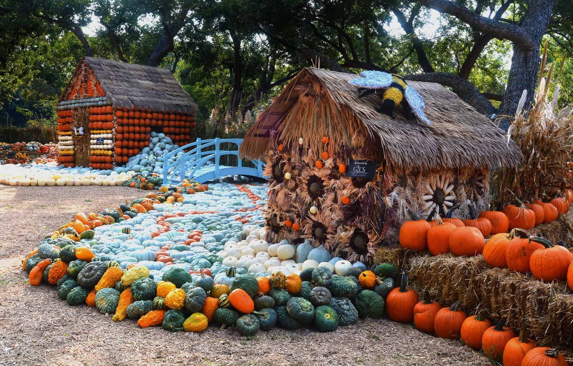 Dallas Arboretum and Botanical Garden pumpkin patch