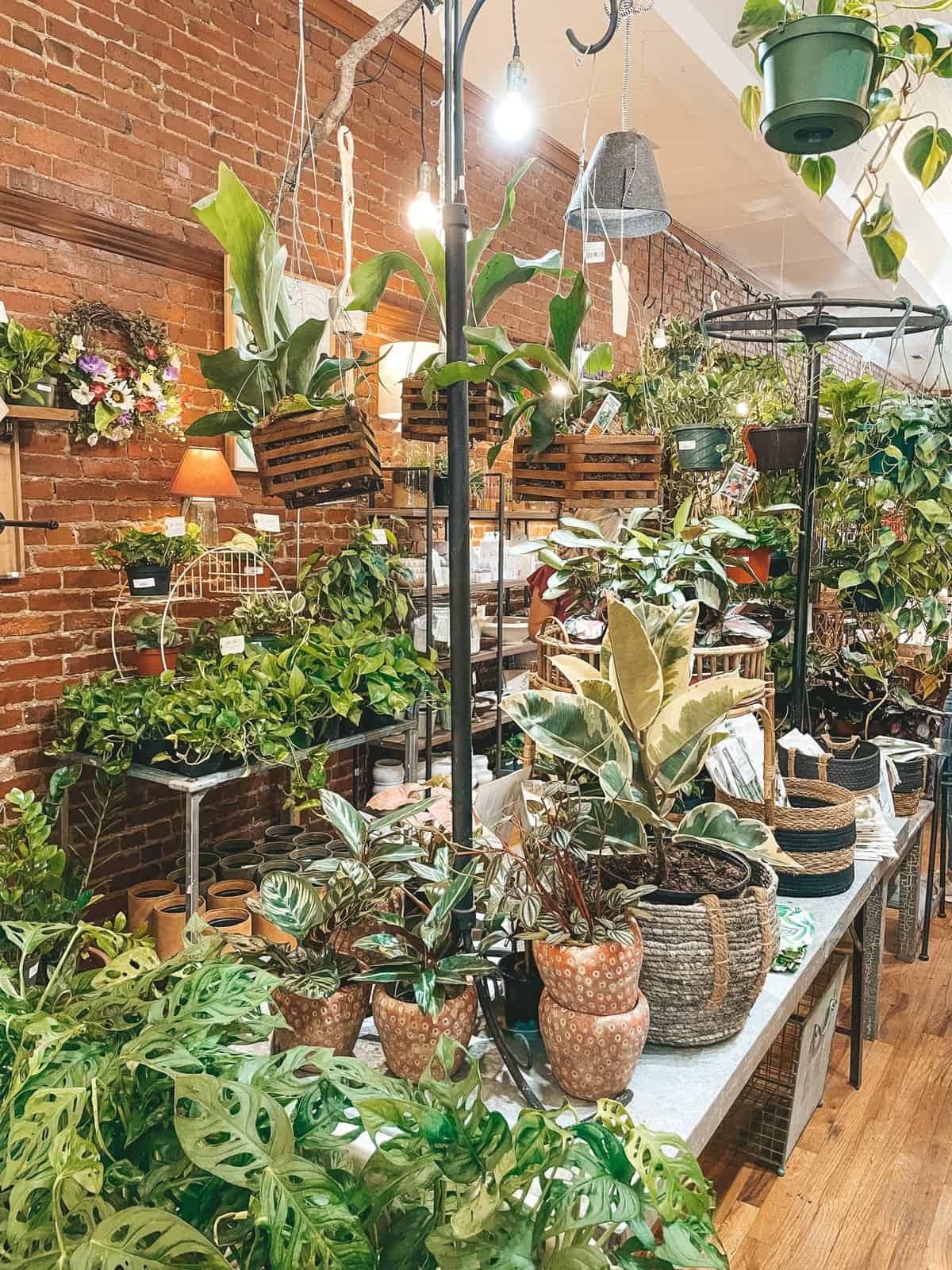 Franklin, Tennessee Weekend Getaway 5 Downtown Franklin Tennessee