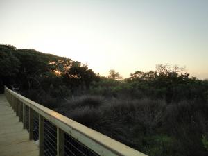 10 Things to Do in Atlantic Beach, North Carolina 5 Elliot Coues Nature Trail