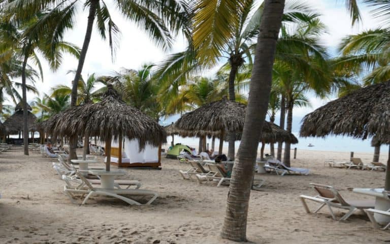 Fiesta Americana a Family Friendly All-Inclusive Resort in Puerto Vallarta, Mexico 75 Fiesta Americana Blue Flag Beach