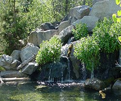 Morrison Knudson Nature Center in Boise, Idaho Morrison Knudson Nature Center Boise Idaho
