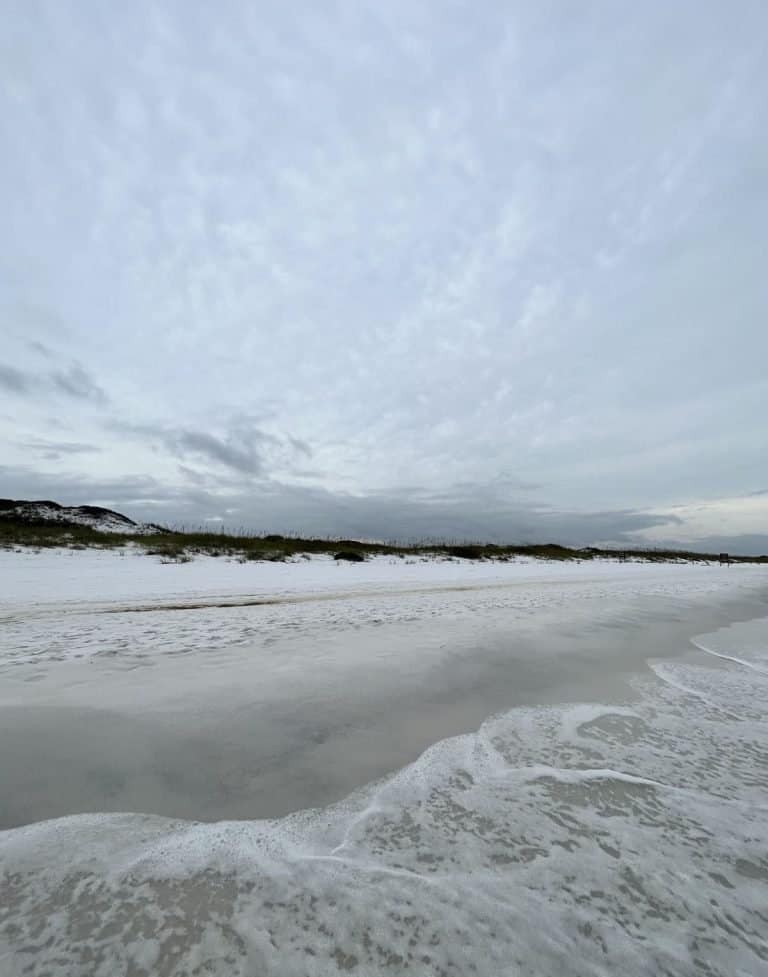 Sunny Season’s Greetings: Celebrating Christmas in Florida 24 Florida at Christmas