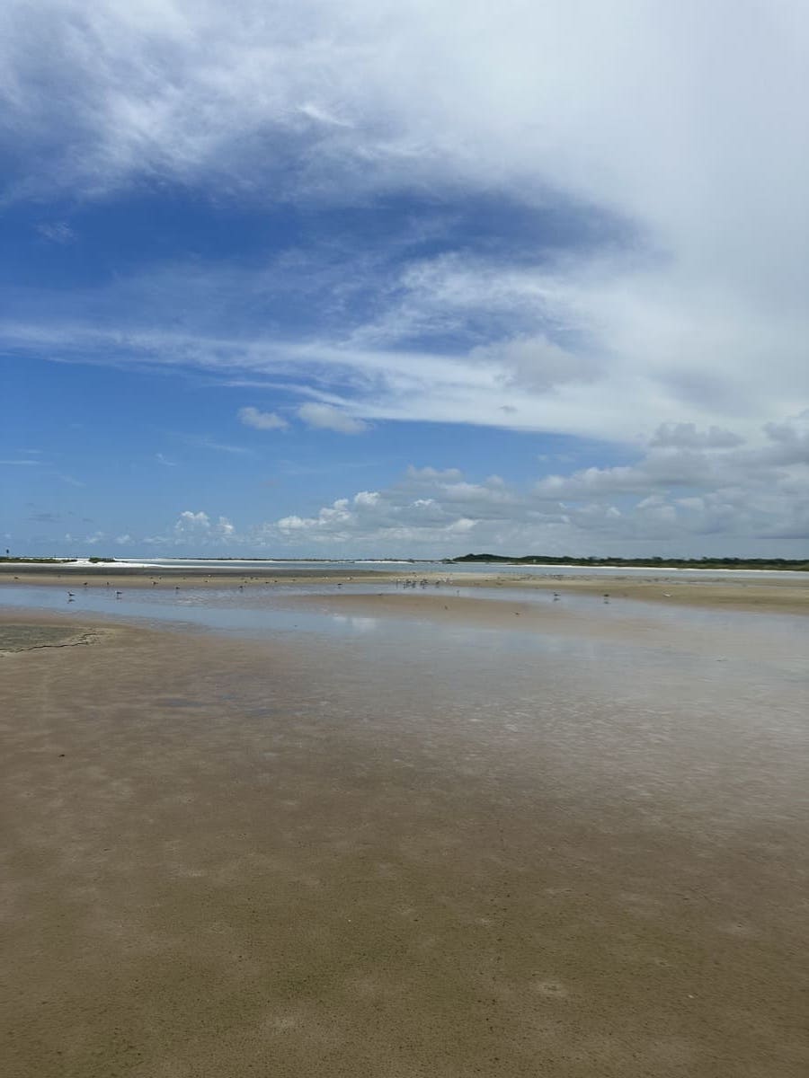 14 Things to Do in Pass-a-Grille Beach 3 Fort De Soto