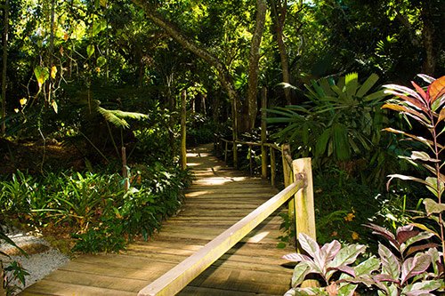 4 Spectacular Fiji Islands 3 Garden of the Sleeping Giant