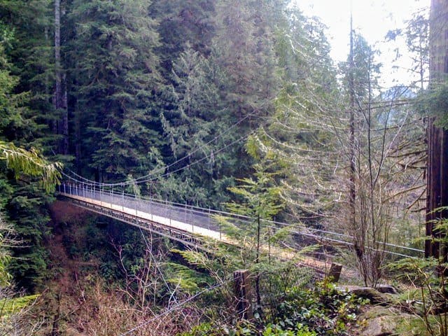 Hiking Drift Creek Falls near Lincoln City, Oregon