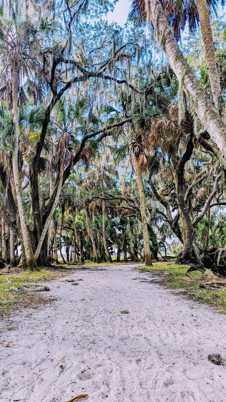 hikinh trail at Myakka State Park