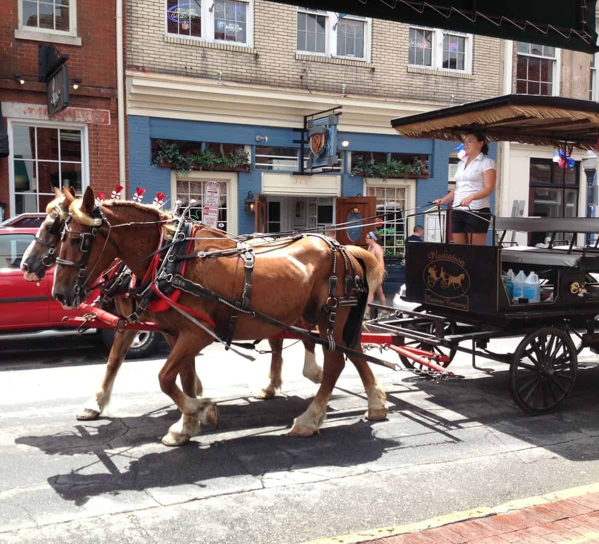 Savannah Weekend Getaway with Friends 12 Horses in Savannah