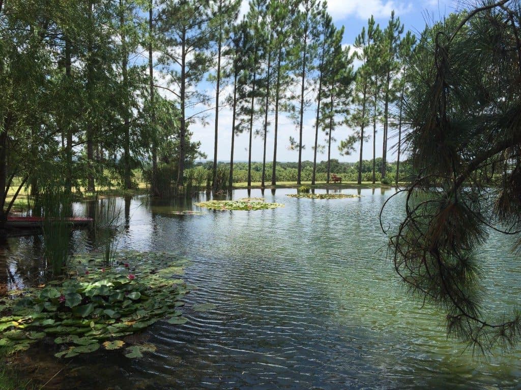 Das Peachhaus Winery Fredericksburg