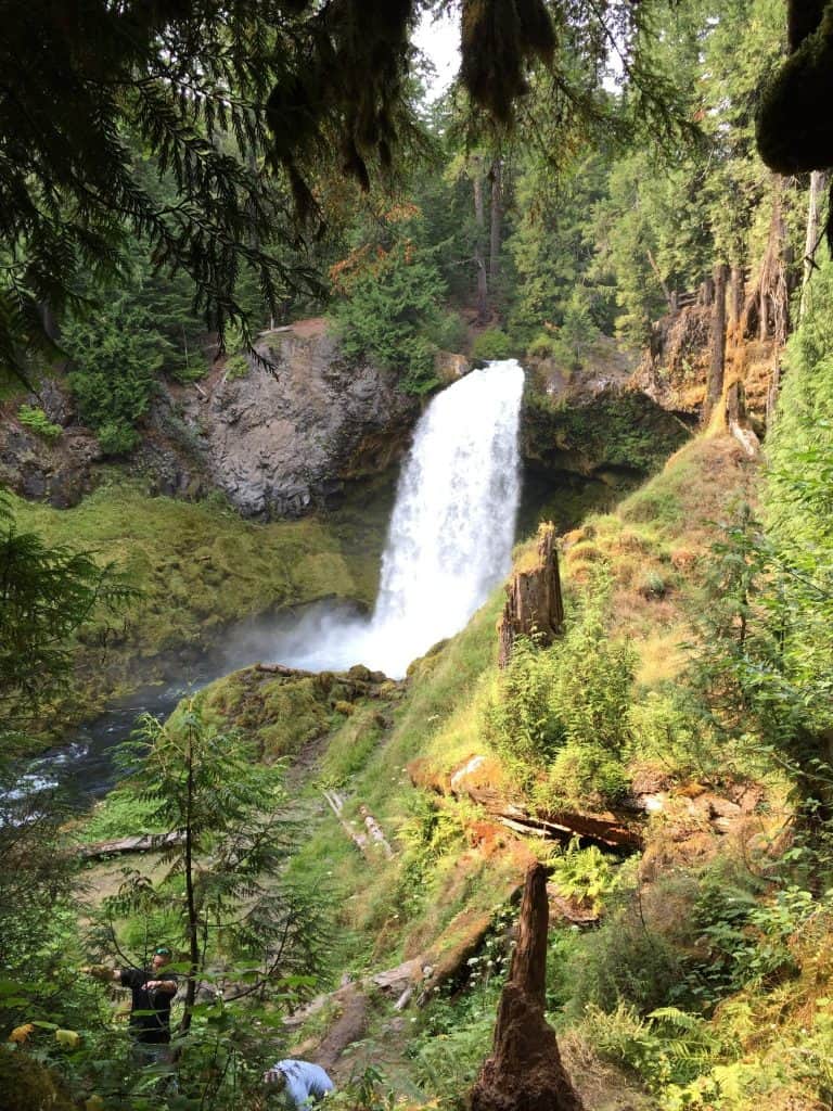 26 Best Attractions in Oregon 30 Sahalie Falls
