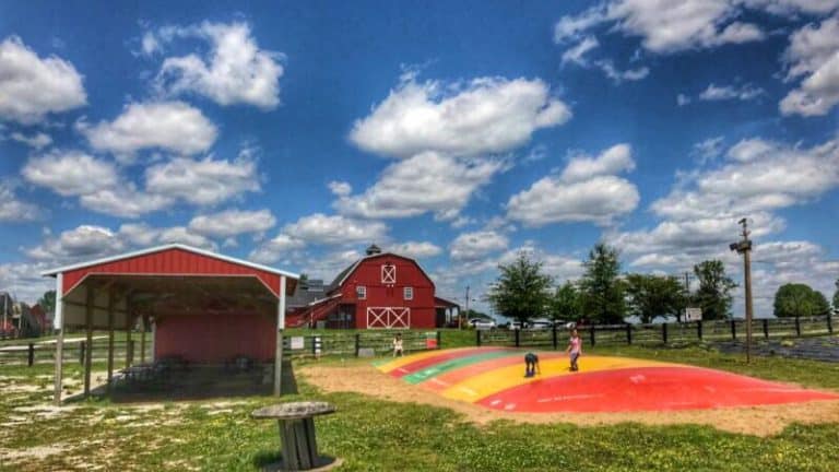 Chainey Dairy Farm in Bowling Green