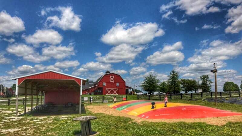 Bowling Green, Kentucky a Surprisingly Awesome Family Vacation 2 Chaney’s Dairy Farm in Bowling Green