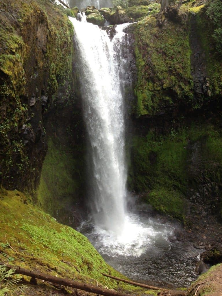14 Best Hikes for Kids in the Columbia River Gorge 34 Falls Creek Falls