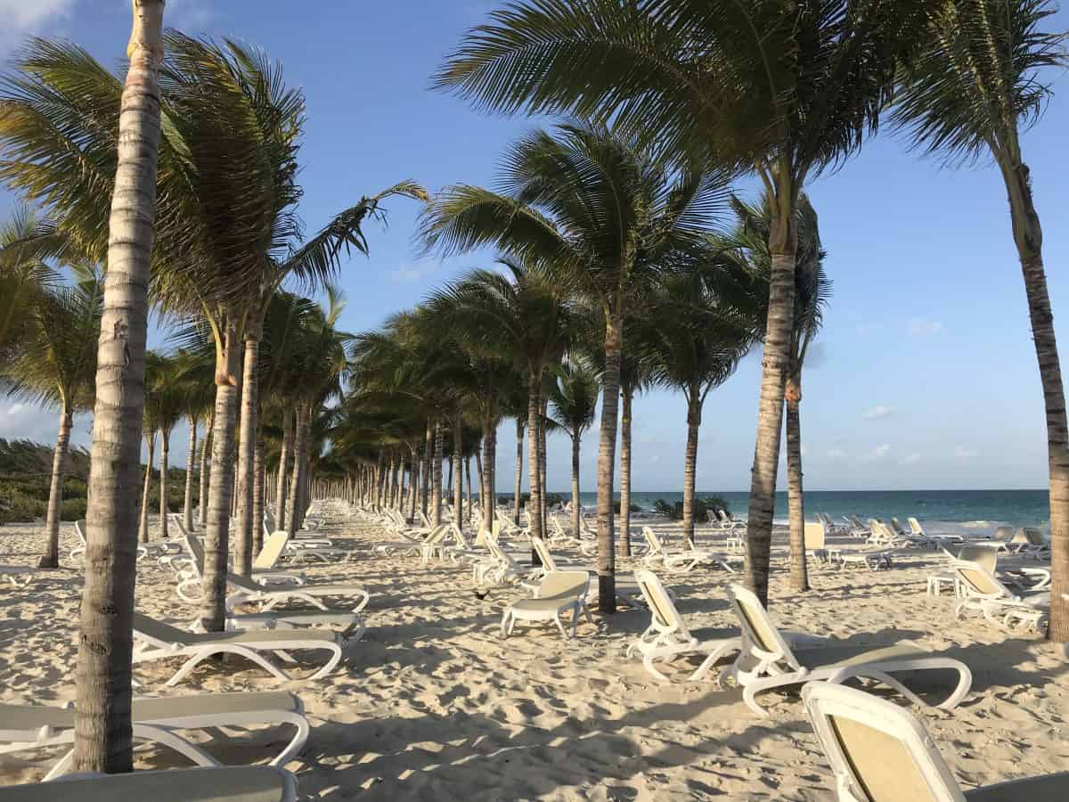 Rui Dunamar Rui Dunamar