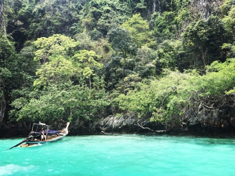 Phi Phi Island Tour 44 Monkey beach on Phi Phi Island