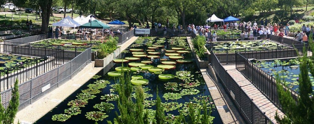 8 Things To Do With Kids In San Angelo 2 International Waterlily Collection