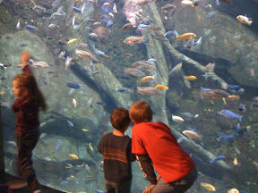 Atlanta Georgia aquarium Atlanta Georgia Aquarium