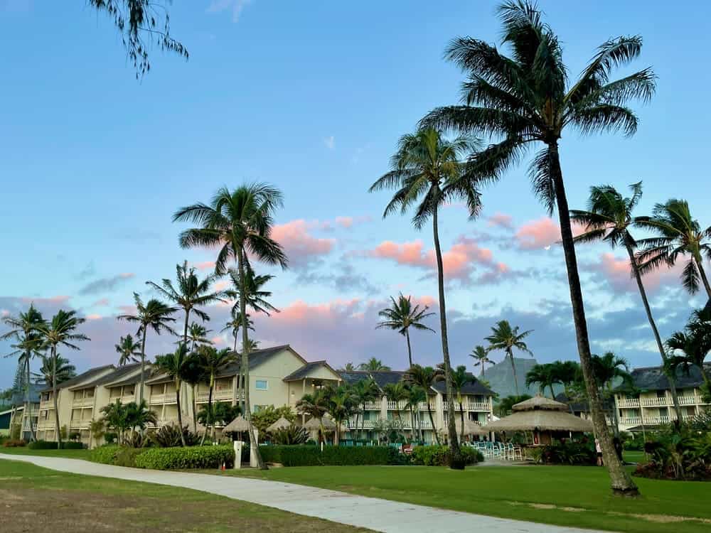 Kauai East Coast Coconut Coast near Kapaa - 1-1