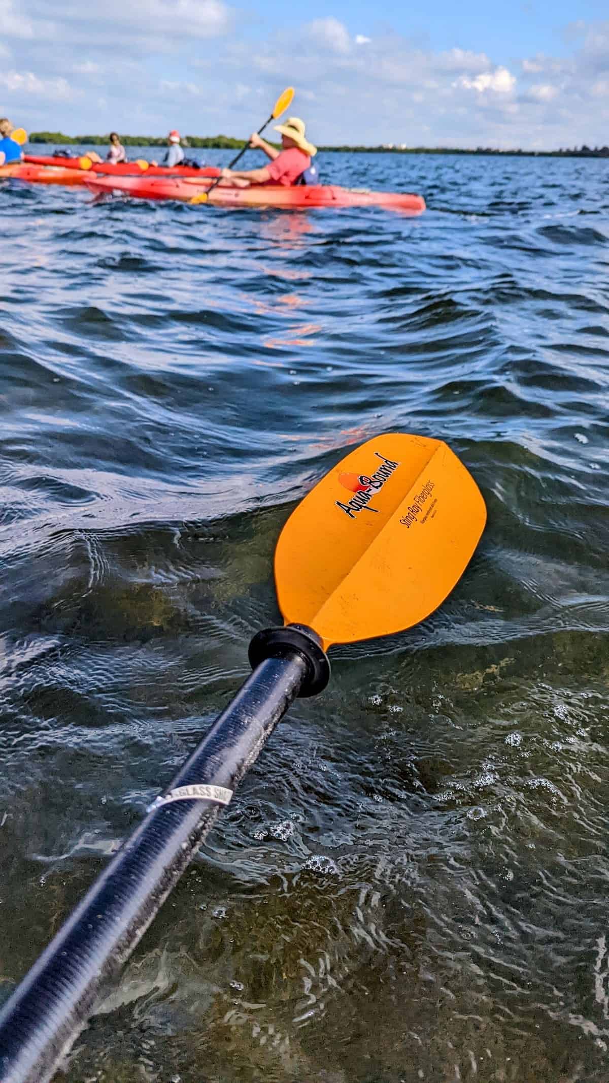 6 Best Things to Do in Sarasota 3 kayaking emerson point