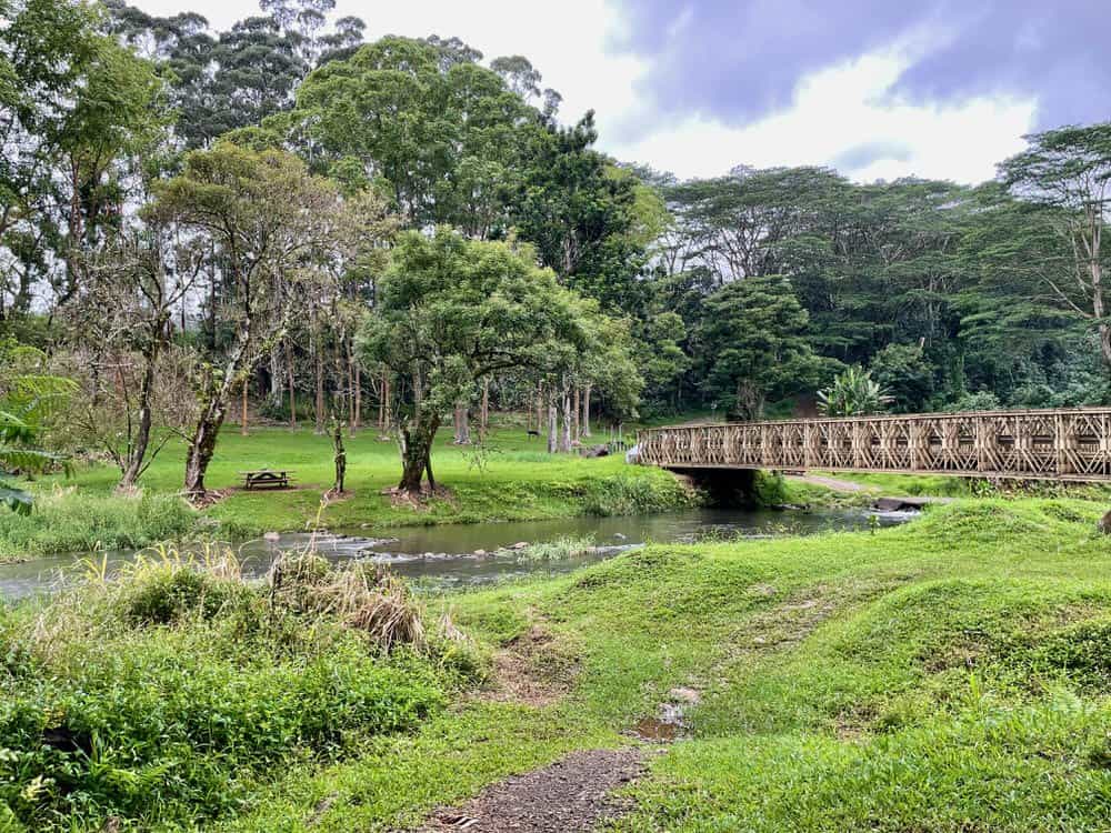Keahua Arboretum outside Kapaa Hawaii - 1-1