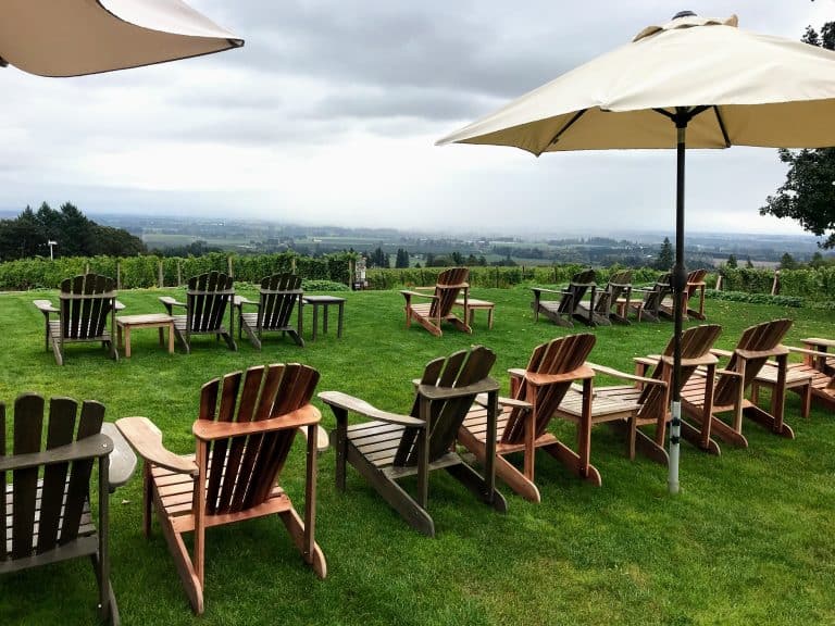 10 Kid Friendly Wineries in the Willamette Valley 43 Kid Friendly Wineries in the Willamette Valley