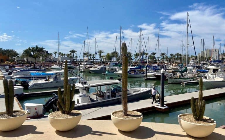 La Paz Travel Guide for Families 54 La Paz Mexico