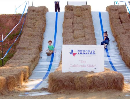 12 Best Dallas - Fort Worth Pumpkin Patches 42 Lone Star Family Farm Pumpkin Patch