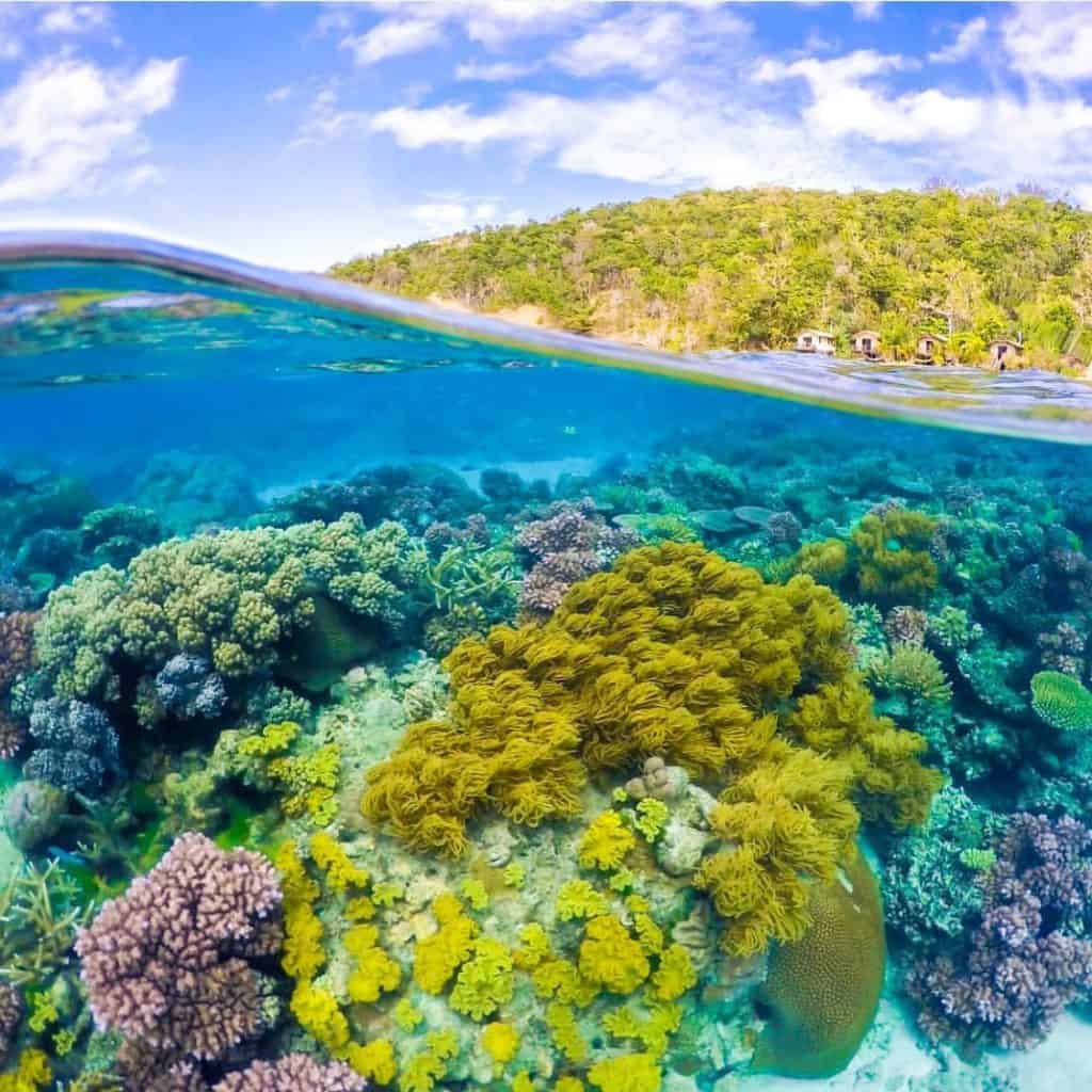 4 Spectacular Fiji Islands 9 Mantaray Island Resort