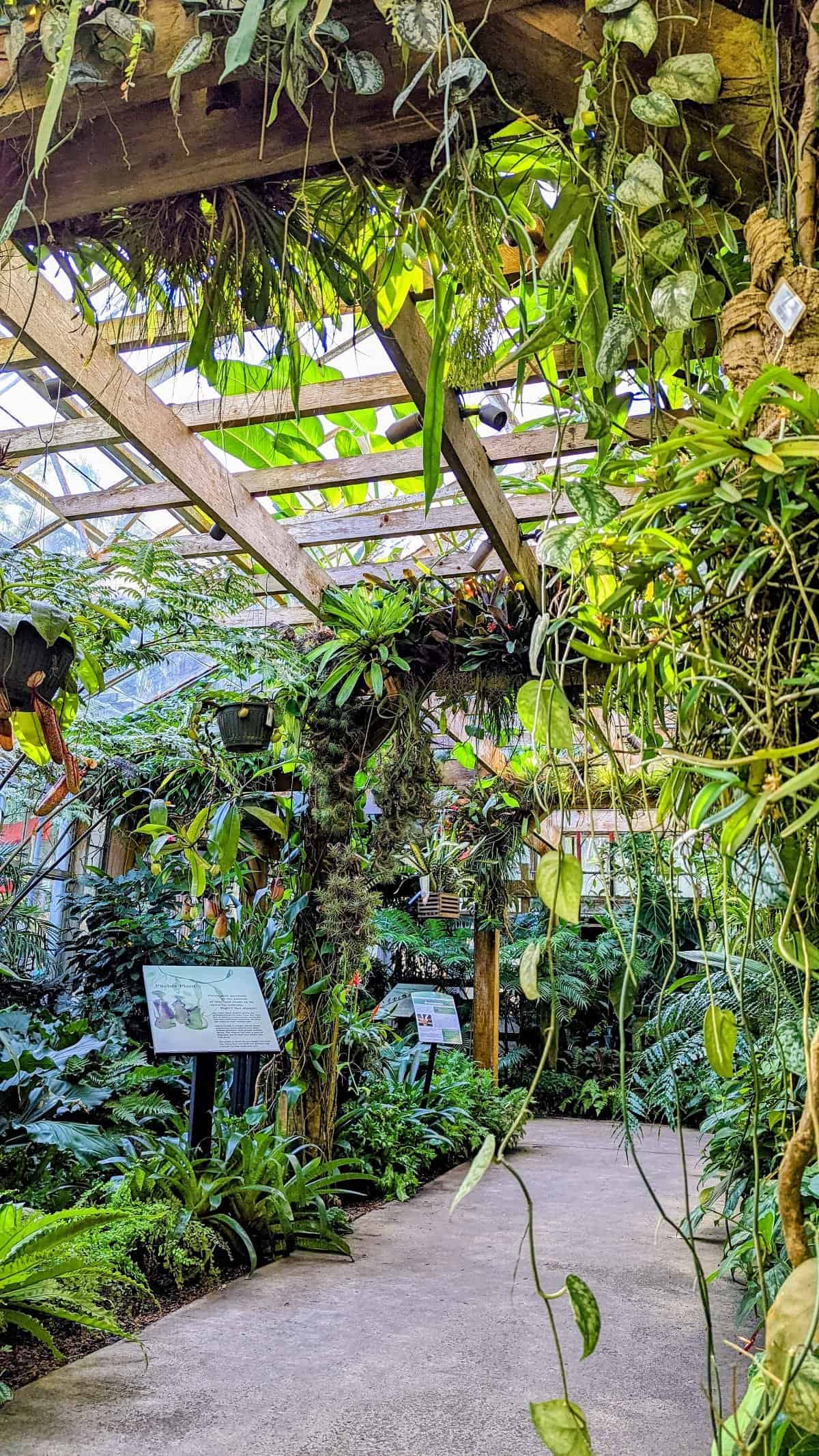 6 Best Things to Do in Sarasota 5 Marie Selby Botanical Gardens
