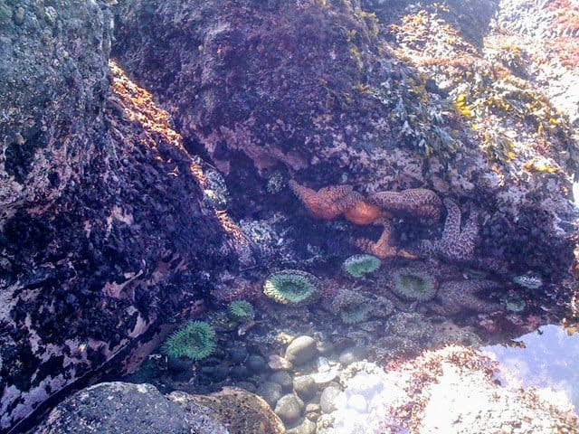 Newport Oregon Beach