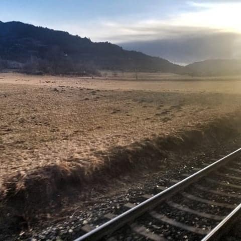 View of field and train tracks from the Nightjet from Rome to Vienna