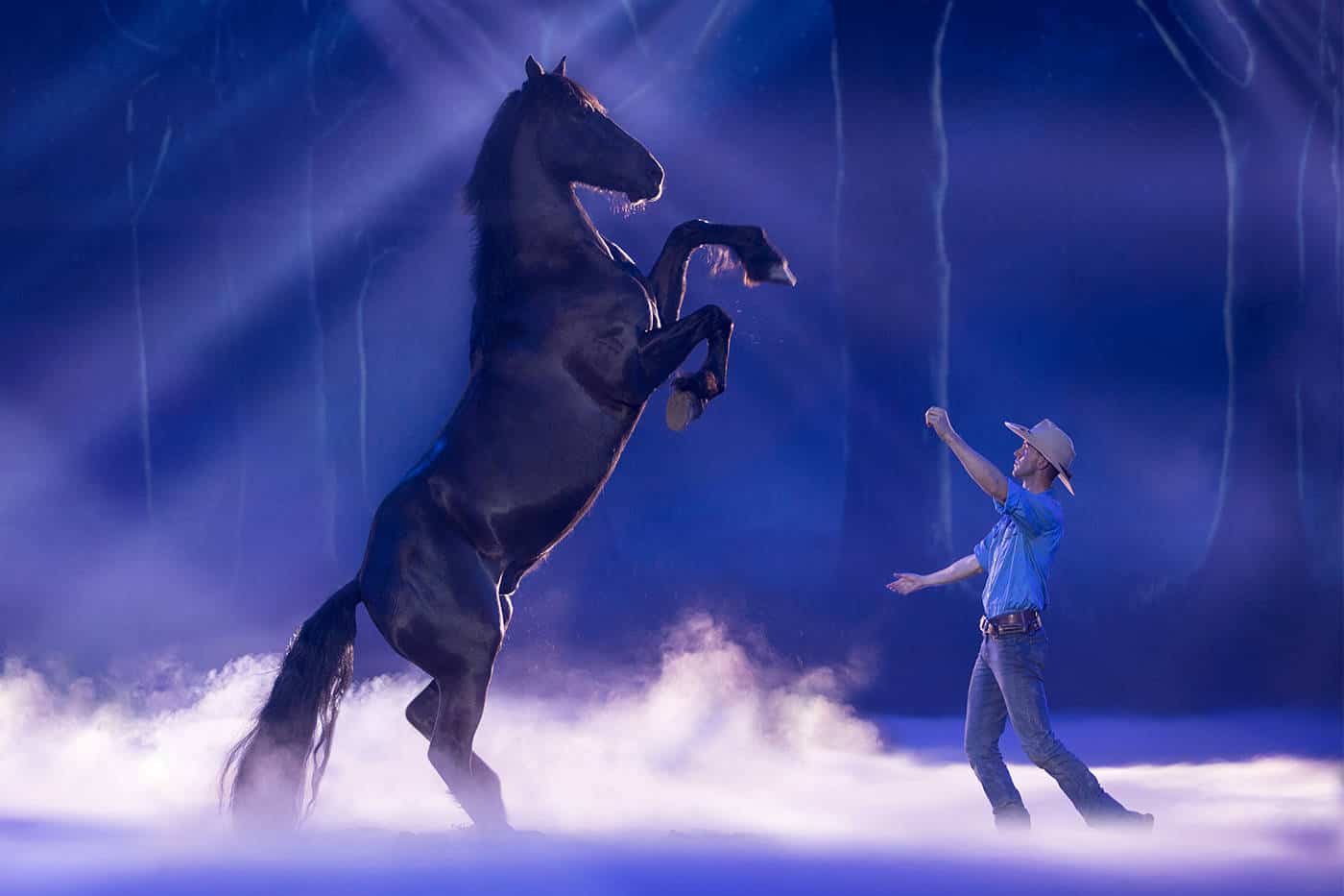 Things to do on the Gold Coast 5 OUTBACK SPECTACULAR