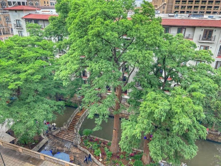 Best Places to Stay in San Antonio on the Riverwalk 60 Overlooking the riverwalk from Mokara Hotel and Spa