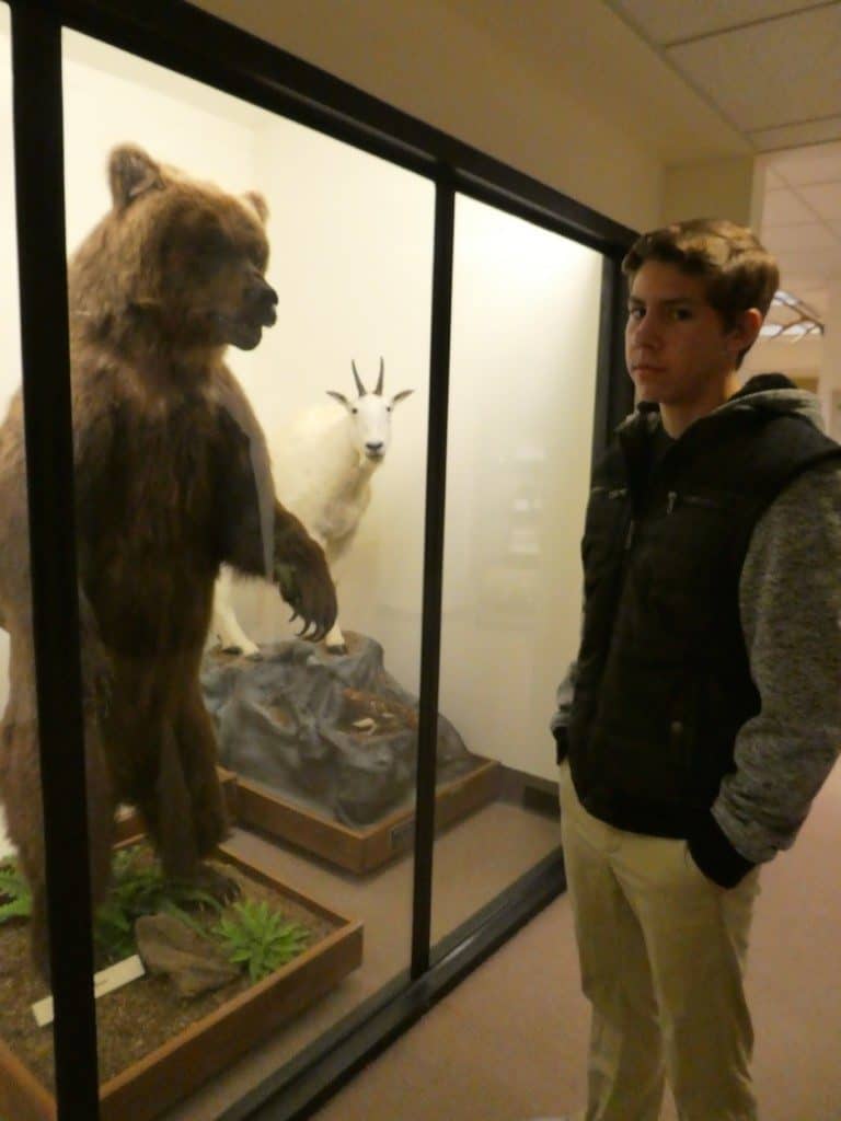 17 Fun Things to do in Salem, Oregon with Kids 7 Mt. Angel Abbey Museum of Natural History