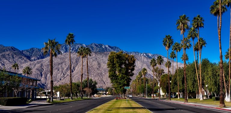 Palm Springs Travel Guide 49 Palm Springs, California
