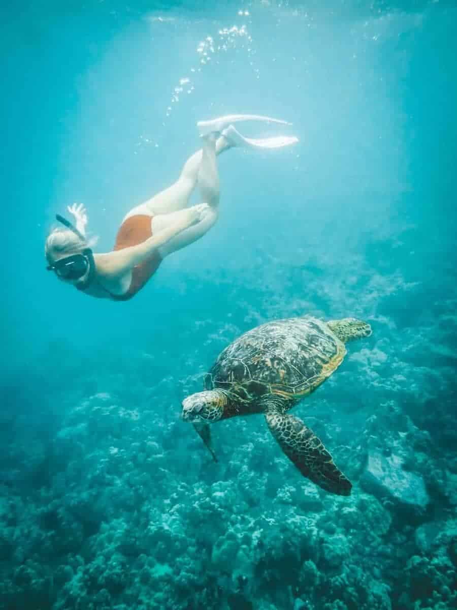 16 Best Things To Do In Kona, Big Island 6 Pawai Bay