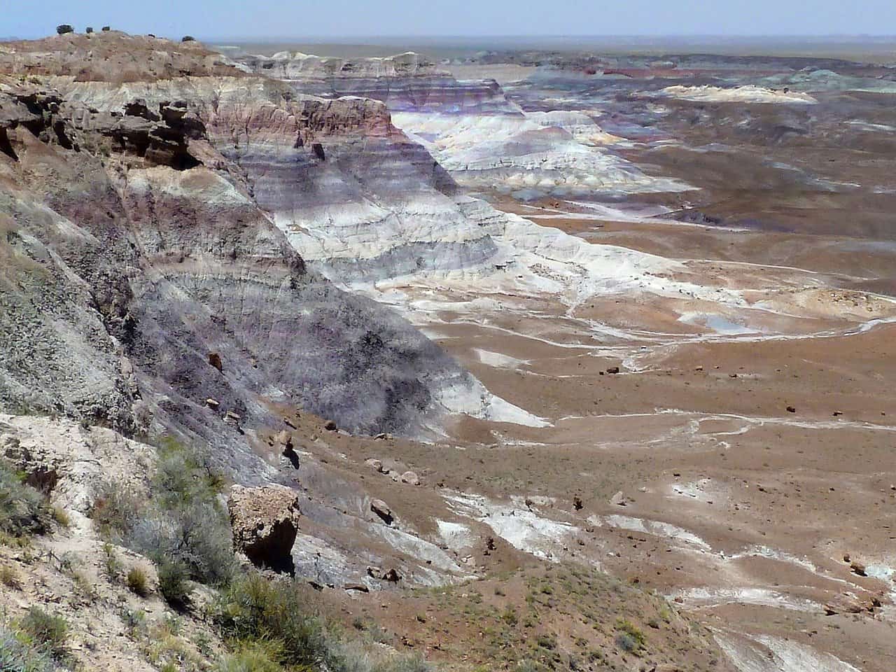 Petrified Forest National Park