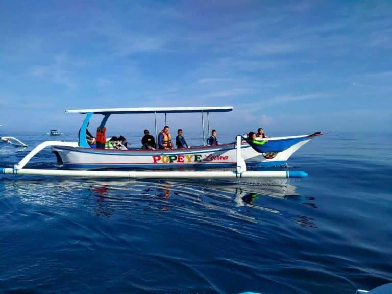 Ethical Dolphin Watching in Lovina Bali 1 Popeye of Lovina