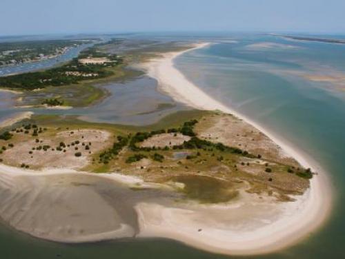 10 Things to Do in Atlantic Beach, North Carolina 6 Rachel Carson Reserve