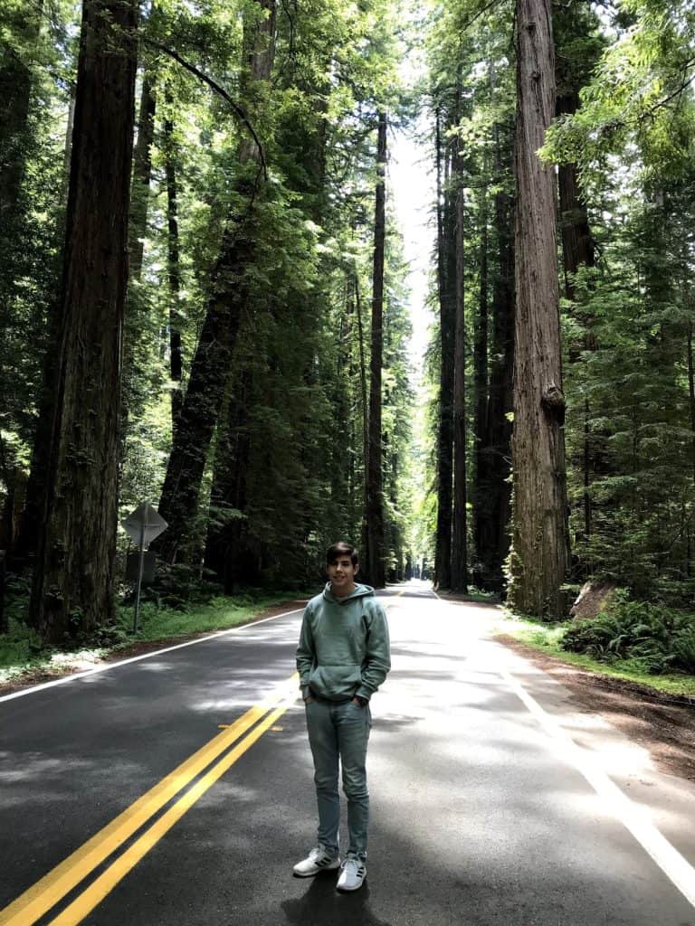 A Guide to All 9 National Parks in California 25 Redwoods National Park