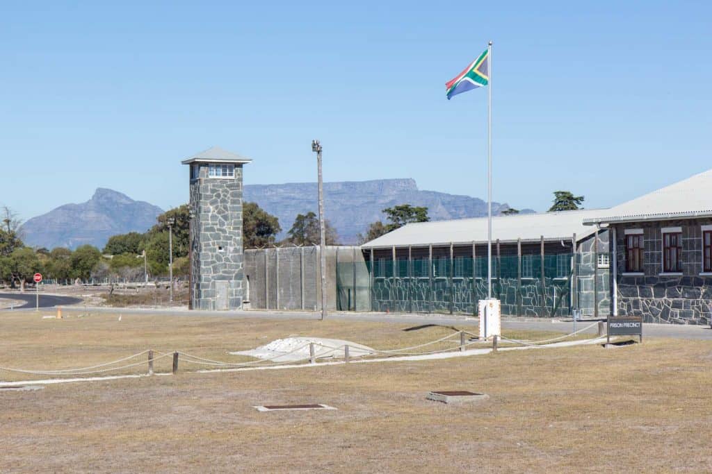 14 Amazing Things to do in Cape Town 6 Robben-Island-Turtle