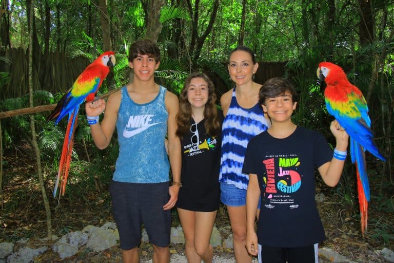 Selvatica an Extreme Adventure in the Mexican Jungle 44 Selvatica