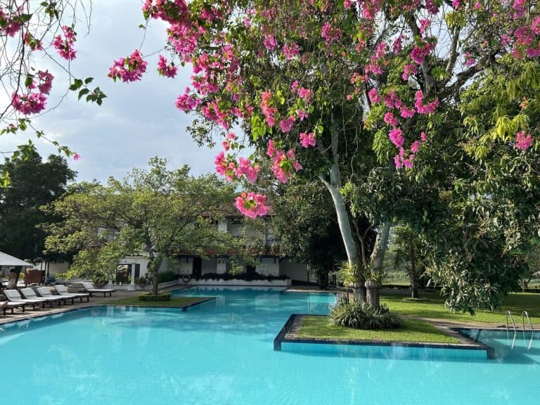 Swimming Pool at Mahaweli Reach