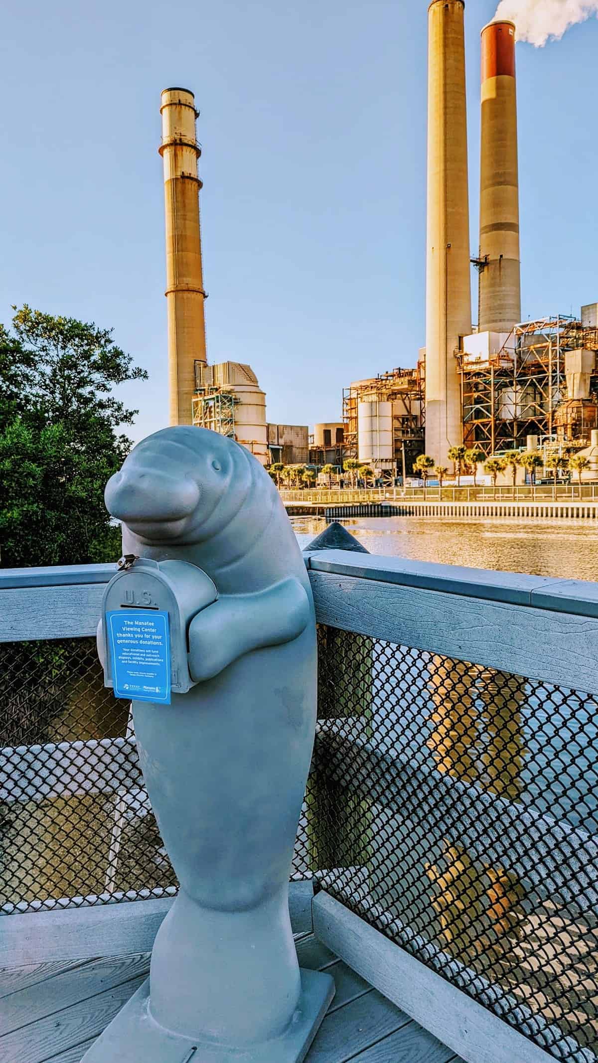 6 Best Things to Do in Sarasota 6 Tampa Electric manatee sanctuary