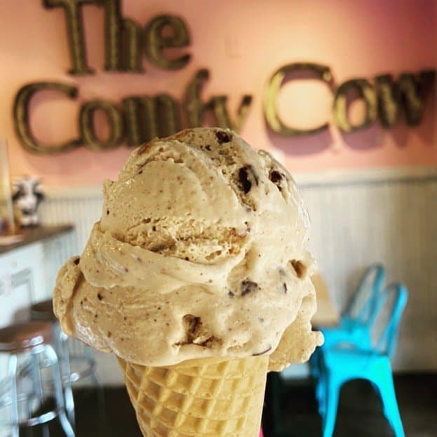 Best Places to Eat in Louisville with Kids 8 The Comfy Cow